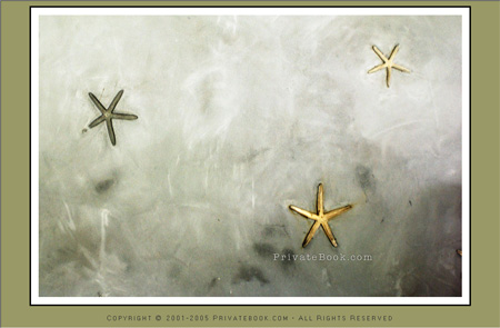 privatebook_starwall_sample.jpg